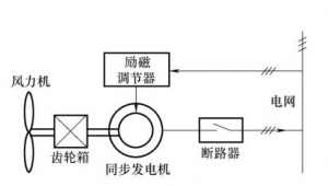 ͬ鲢