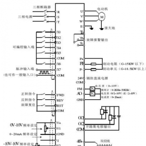 һ�Ķ�����Ƶ��������·